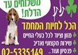 חנות חיות בירושלים