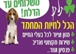 חנות חיות בירושלים